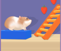 Hamster Maze Online